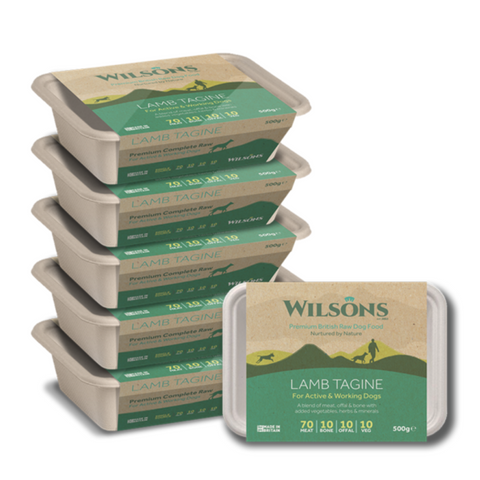 Wilsons Lamb Tagine Premium Raw Frozen Dog Food