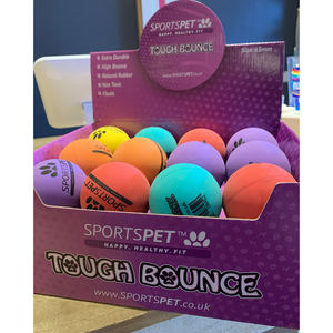 Sportspet Tough Bounce Ball