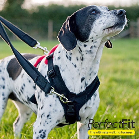 Perfect Fit Harness - 3 Piece Kit